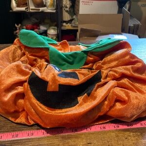Petco pumpkin costume for dogs